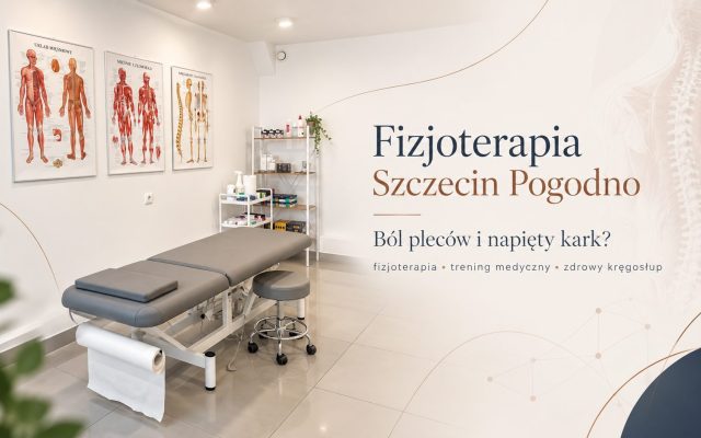 Fizjoterapia w DM Clinic Szczecin Pogodno — praca z bólem pleców i karku